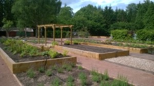 Gardens to raised beds