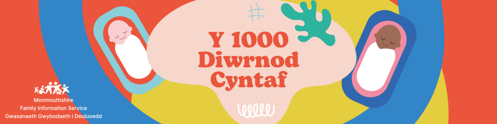 Y 1000 Diwrnod Cyntaf banner 