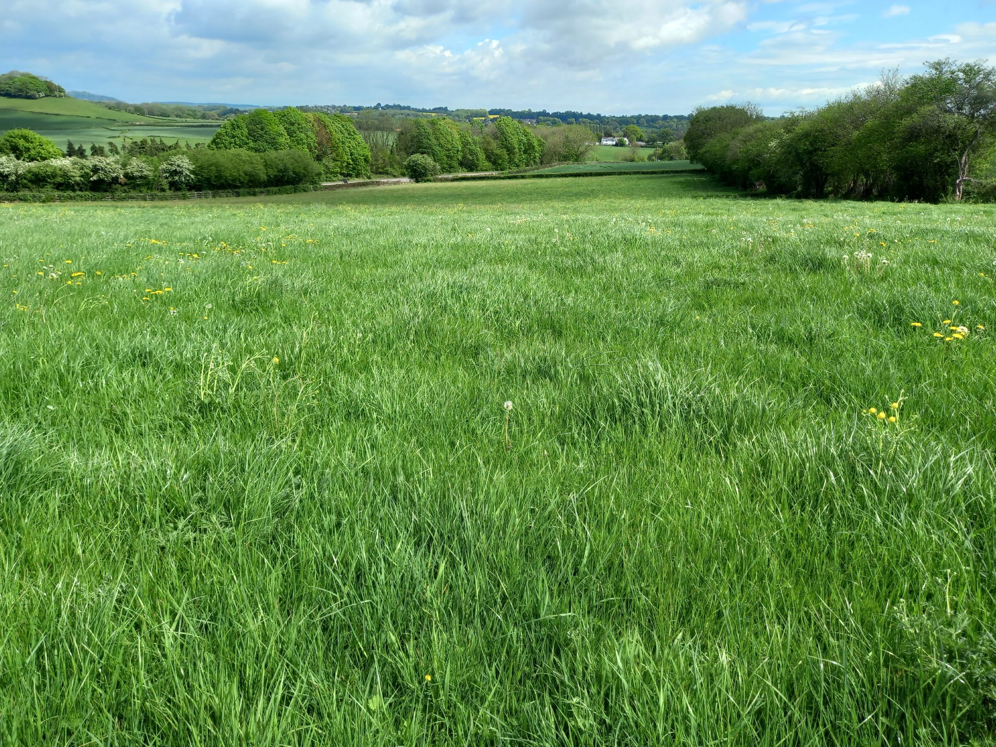 Council Farms Monmouthshire