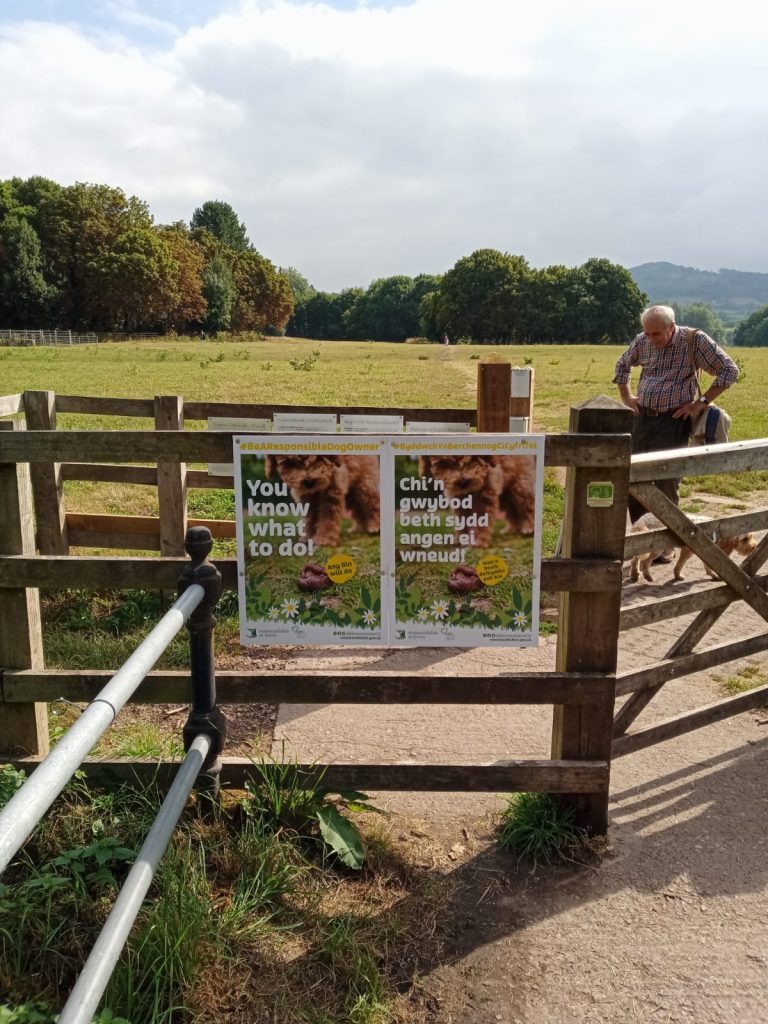 Castle Meadows in Abergavenny