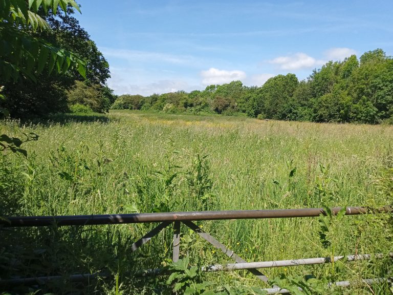 Grazing Land Available Monmouthshire