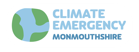 Climate Emergency logo