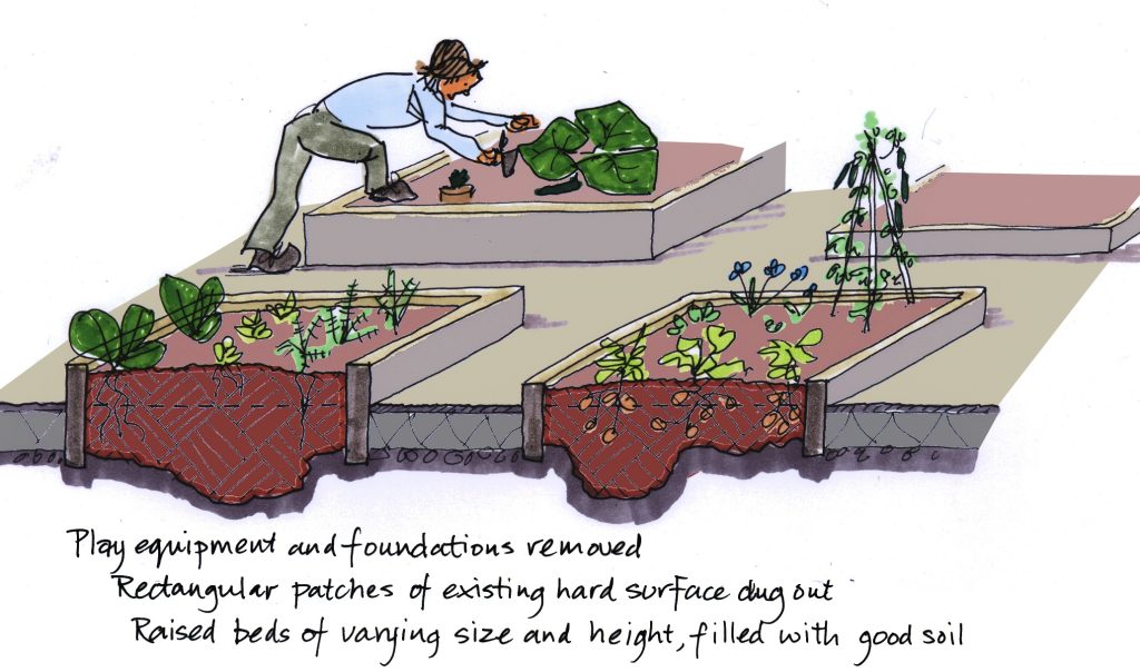 Illustration showing food growing techniques for vegetables in beds