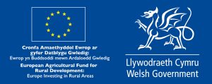 Welsh Government logo