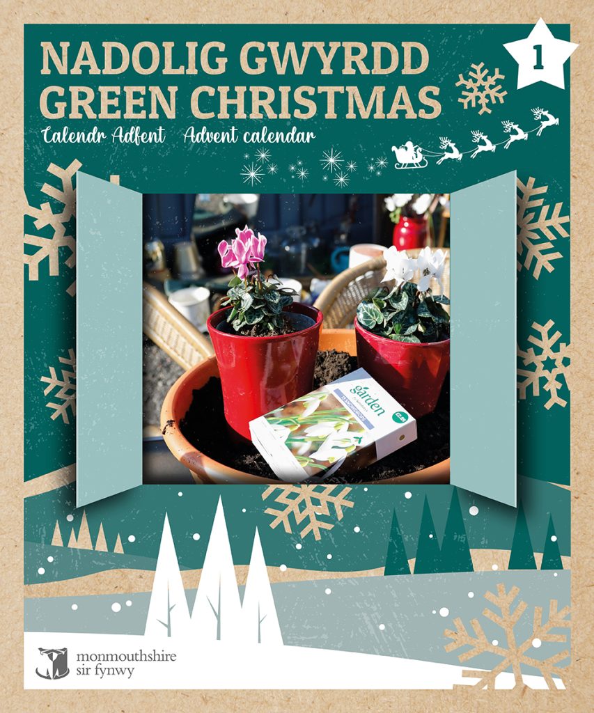 Christmas advent calendar window with a photo of a plant in a pot from the ReUse shop