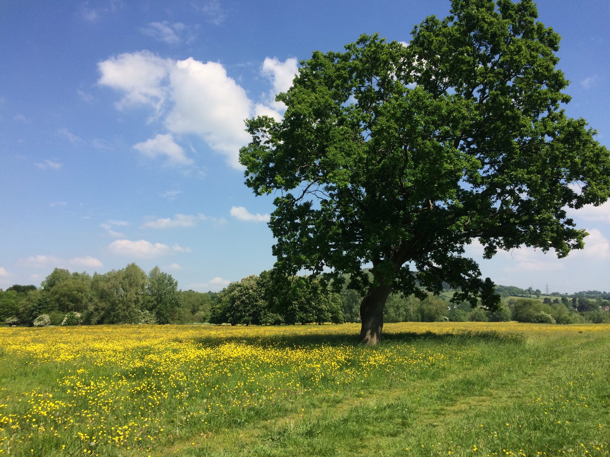 active travel monmouthshire