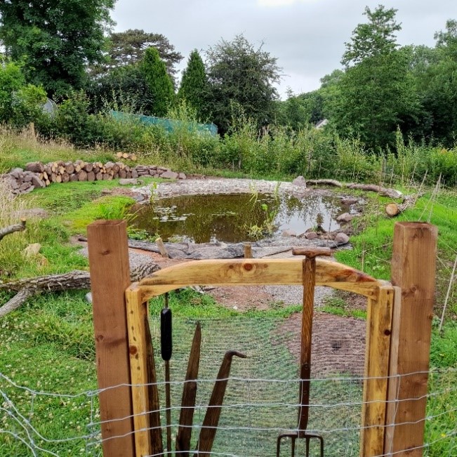 A nature space with a pond