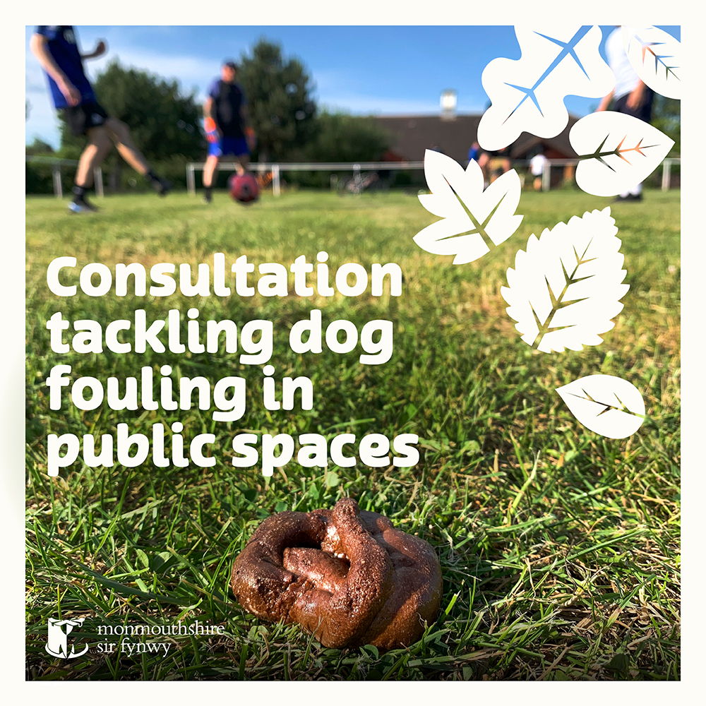 Consultation tackling dog fouling in public spaces

Images of football players kicking a ball in the background with dog foul on the grass