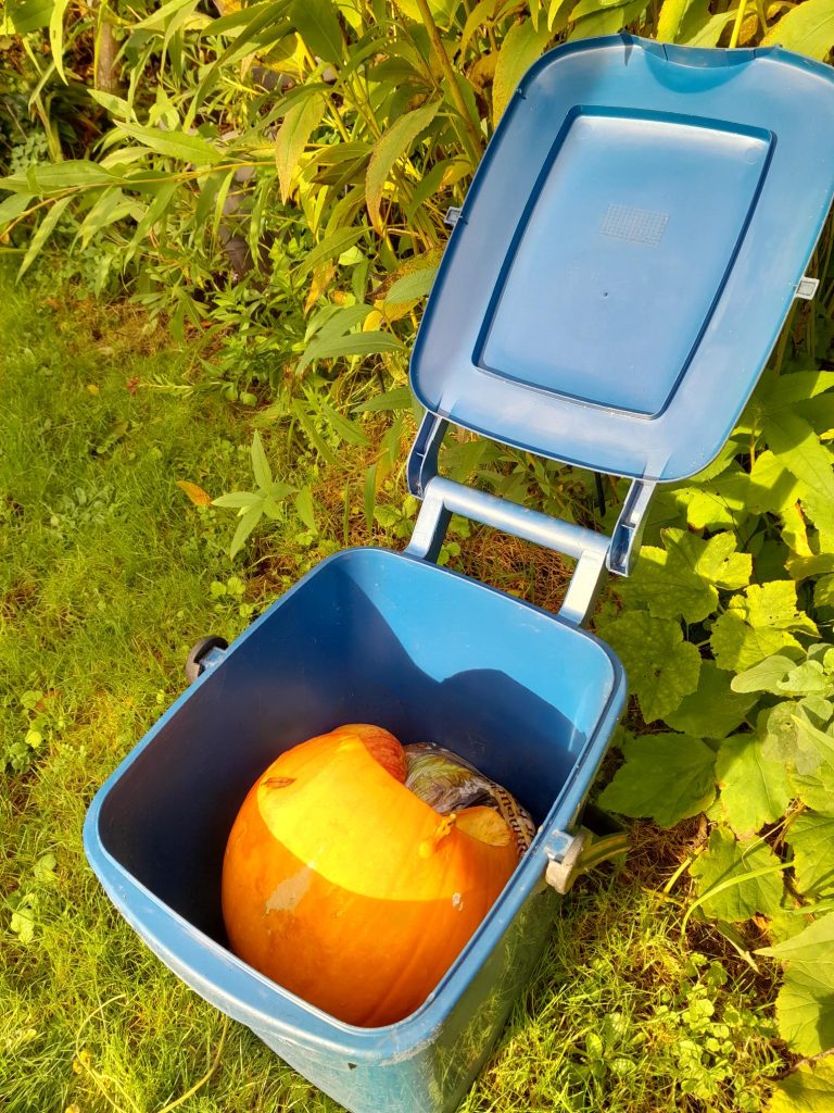 Used pumpkin in a food waste bin 