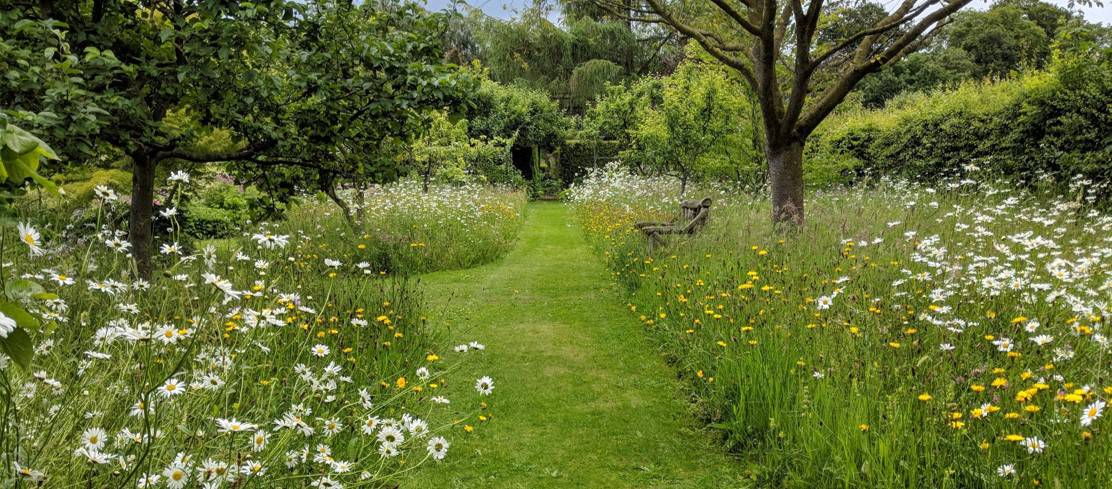 Proposals for Community Nature Spaces in Abergavenny - Monmouthshire 