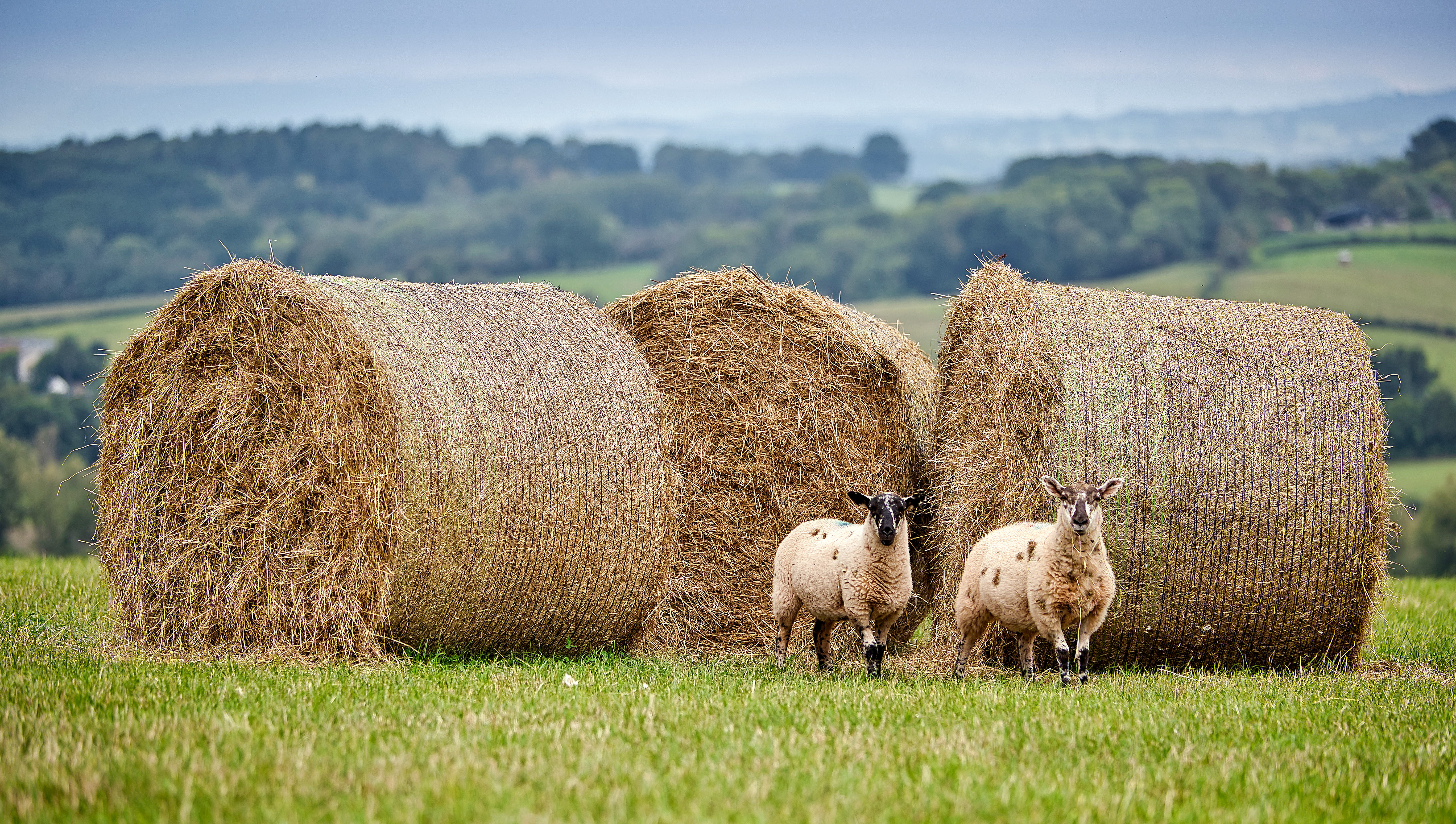 Square Farm, Nr. Mitchell Troy in Monmouthshire,